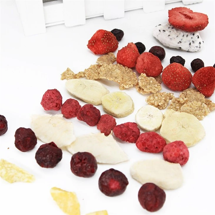 Dried Fruit Chips